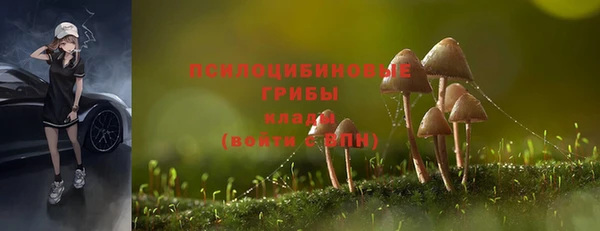 гидропоника Верея