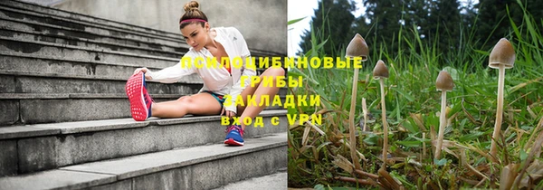 гидропоника Верея