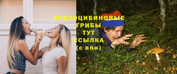 гидропоника Верея