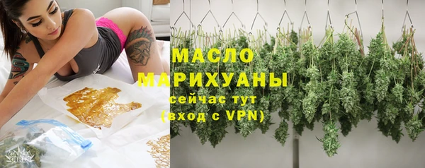 гидра Верхний Тагил