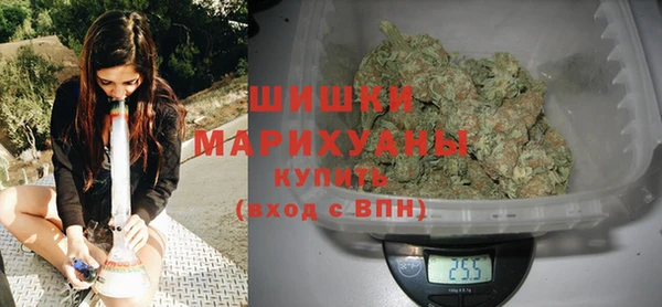 гидра Верхний Тагил